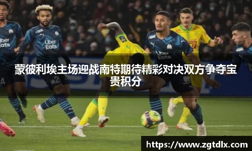 熊猫体育